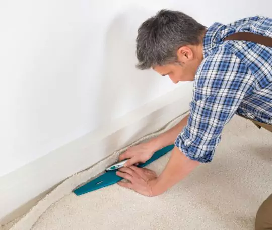 Carpet Cleaning Services