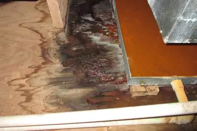 Water Damage Repairs